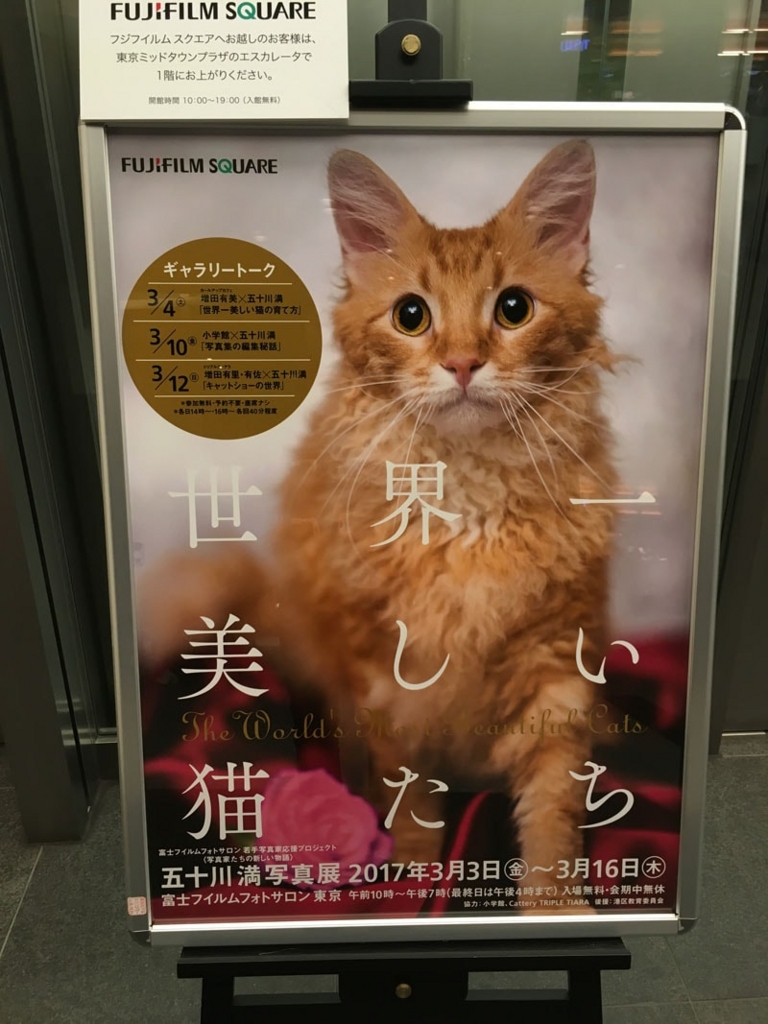 五十川満 写真展「世界一美しい猫たち」を見に六本木に行ってきた 五十川満 写真展「世界一美しい猫たち」を見に六本木に行ってきた