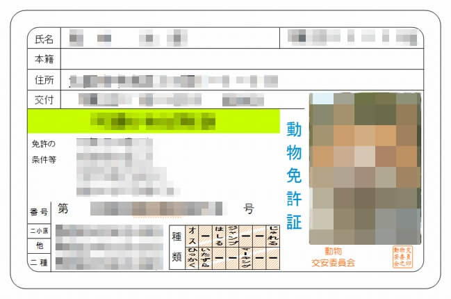 免許証など見せたくない情報を隠したい時に使える